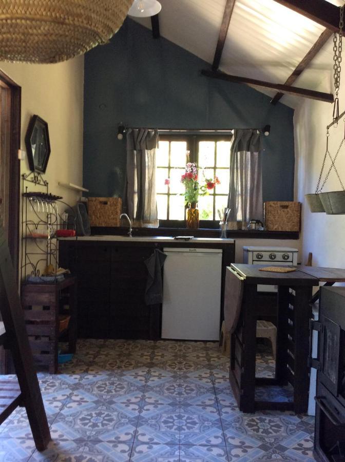 Unique Tiny House With Natural Building Techniques Figueiro Dos Vinhos Exteriér fotografie