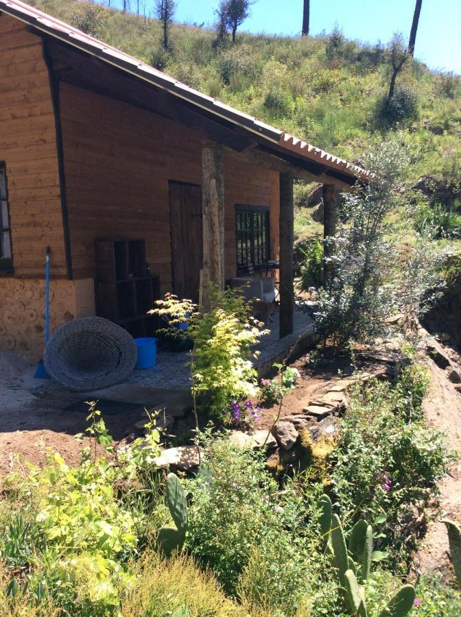 Unique Tiny House With Natural Building Techniques Figueiro Dos Vinhos Exteriér fotografie