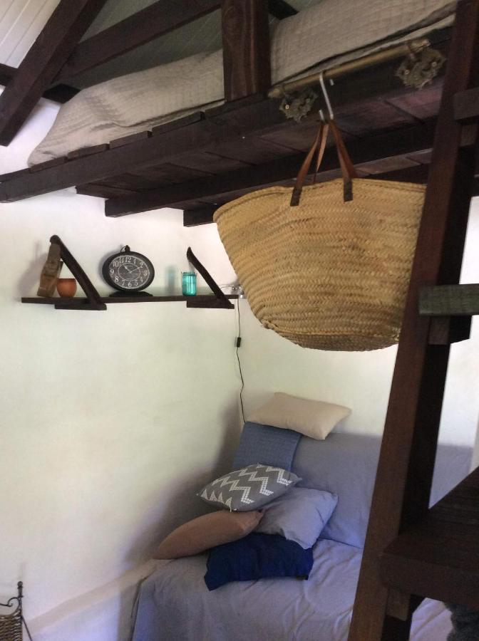 Unique Tiny House With Natural Building Techniques Figueiro Dos Vinhos Exteriér fotografie