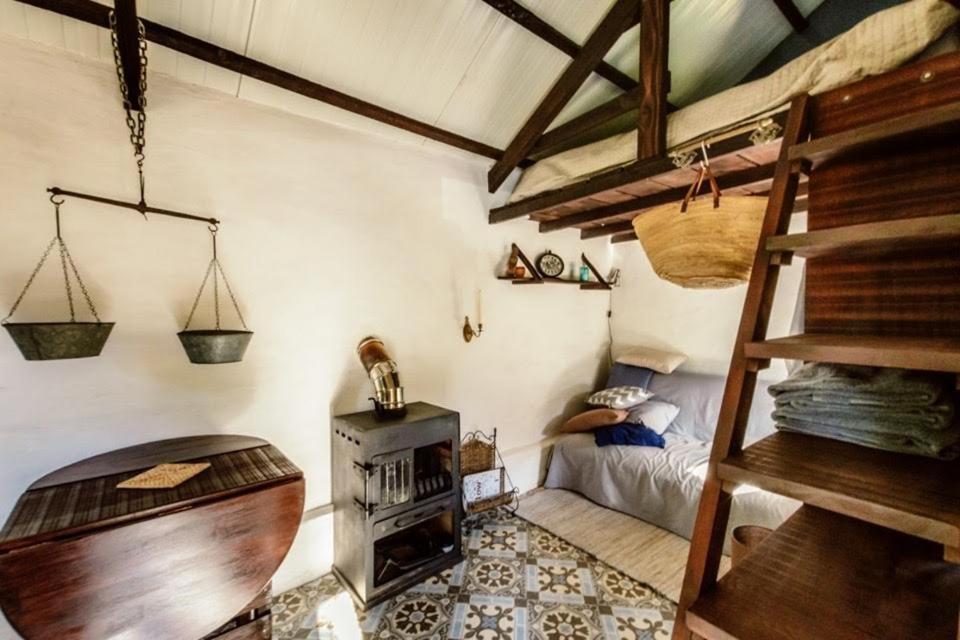 Unique Tiny House With Natural Building Techniques Figueiro Dos Vinhos Exteriér fotografie