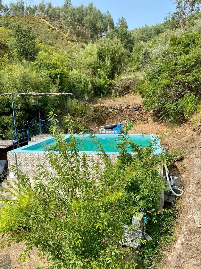Unique Tiny House With Natural Building Techniques Figueiro Dos Vinhos Exteriér fotografie